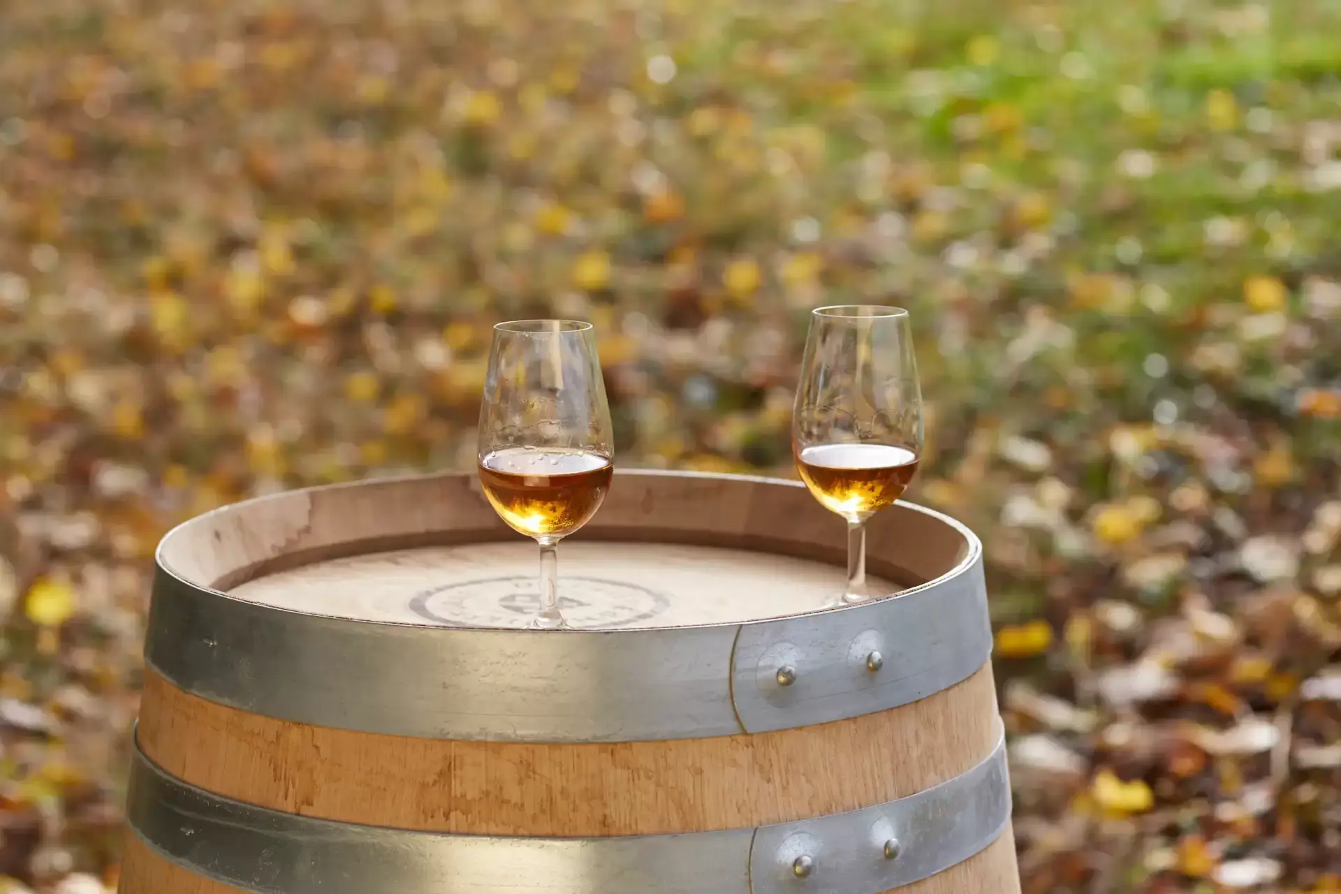 Deux verres de whisky posés sur un fût de chêne devant les arbres du domaine d’Hautefeuille