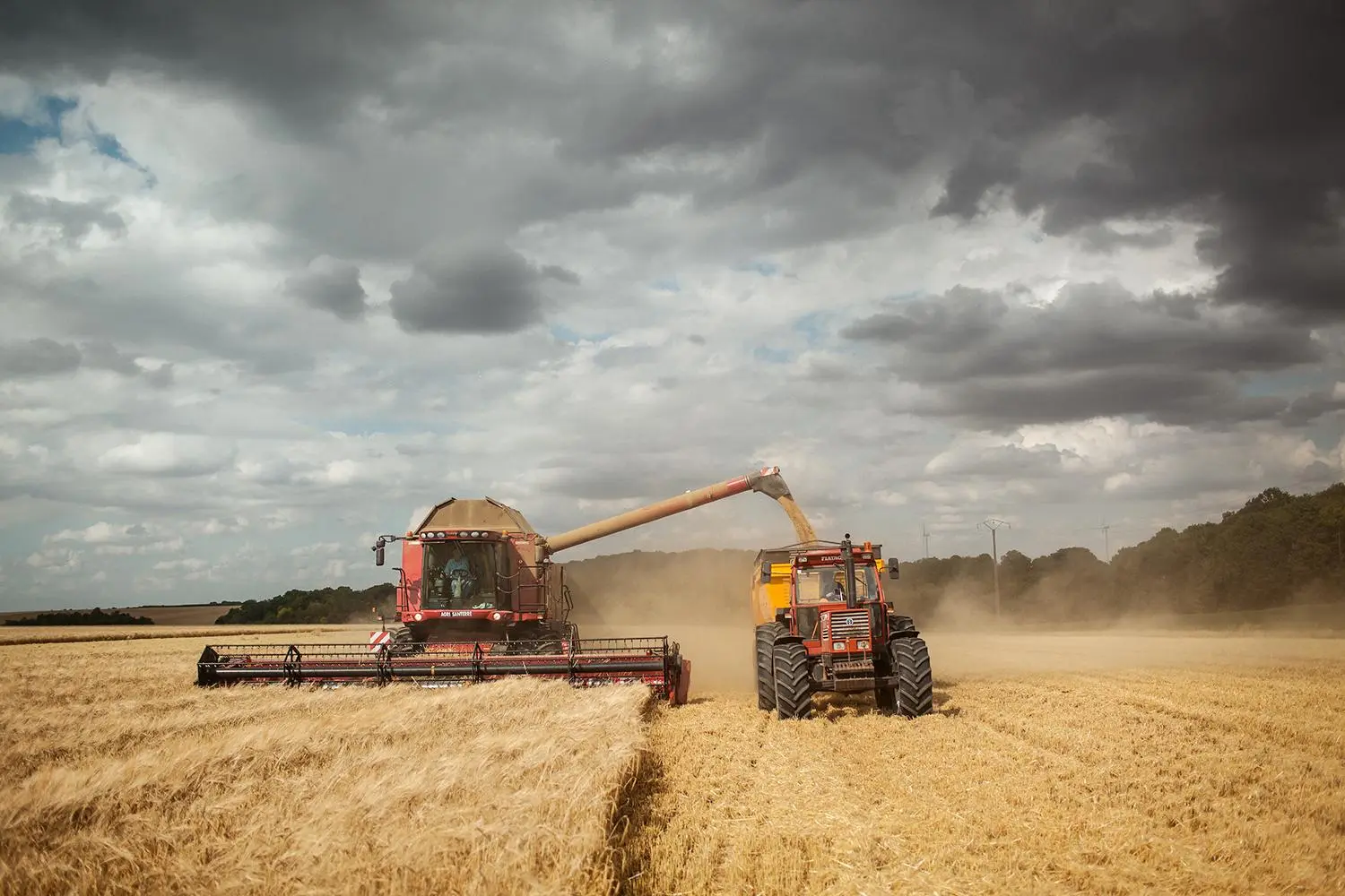 Moissonneuse-batteuse déchargeant l’orge dans une benne à la ferme d’Hautefeuille