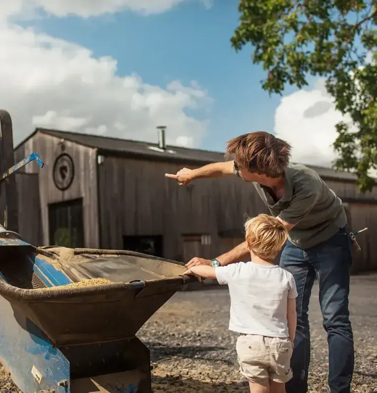 Un père et son enfant devant une benne de grains d’orge à la ferme d’Hautefeuille