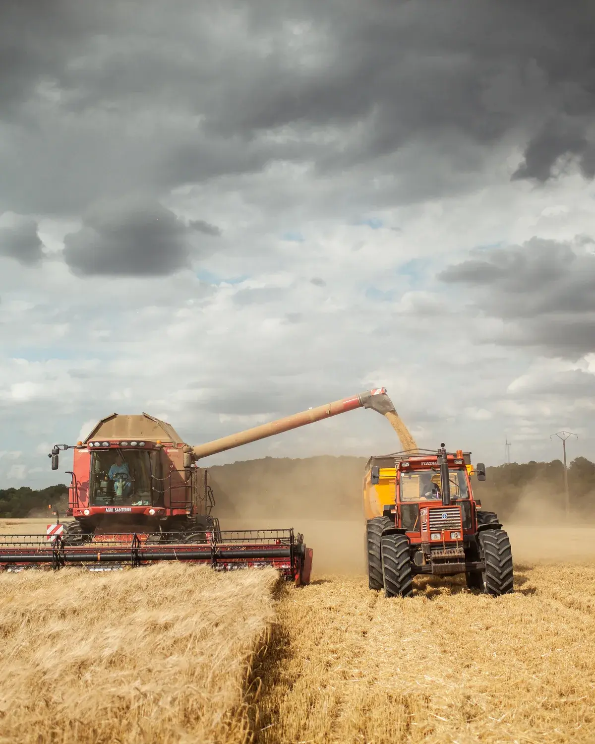 La moissonneuse vide sa trémie dans la benne du tracteur, en pleine moisson de l’orge du domaine, sous un ciel d’orage (photo Buttin, 2019)