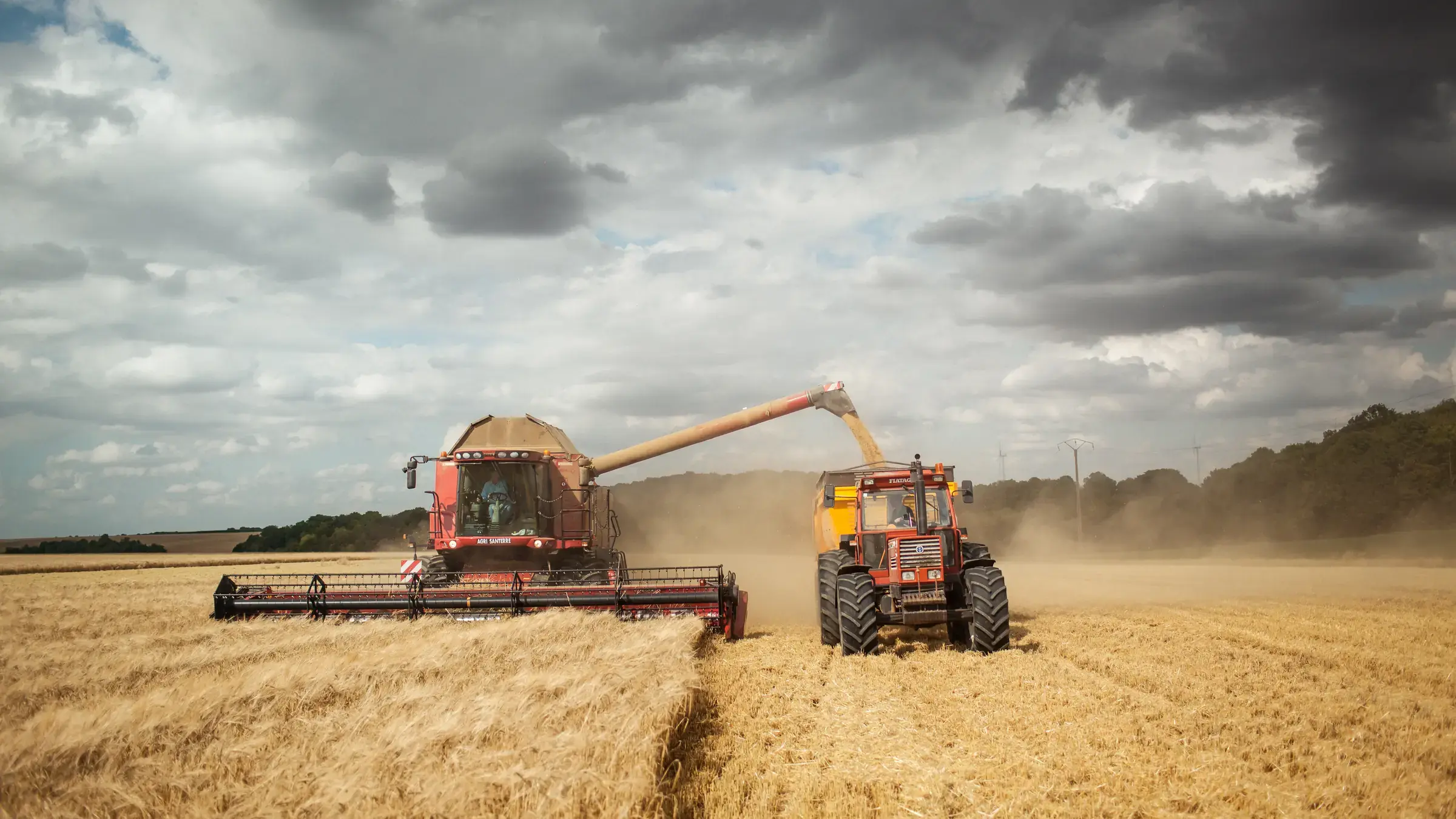Moissonneuse-batteuse et tracteur dans l’orge sous un ciel d’orage