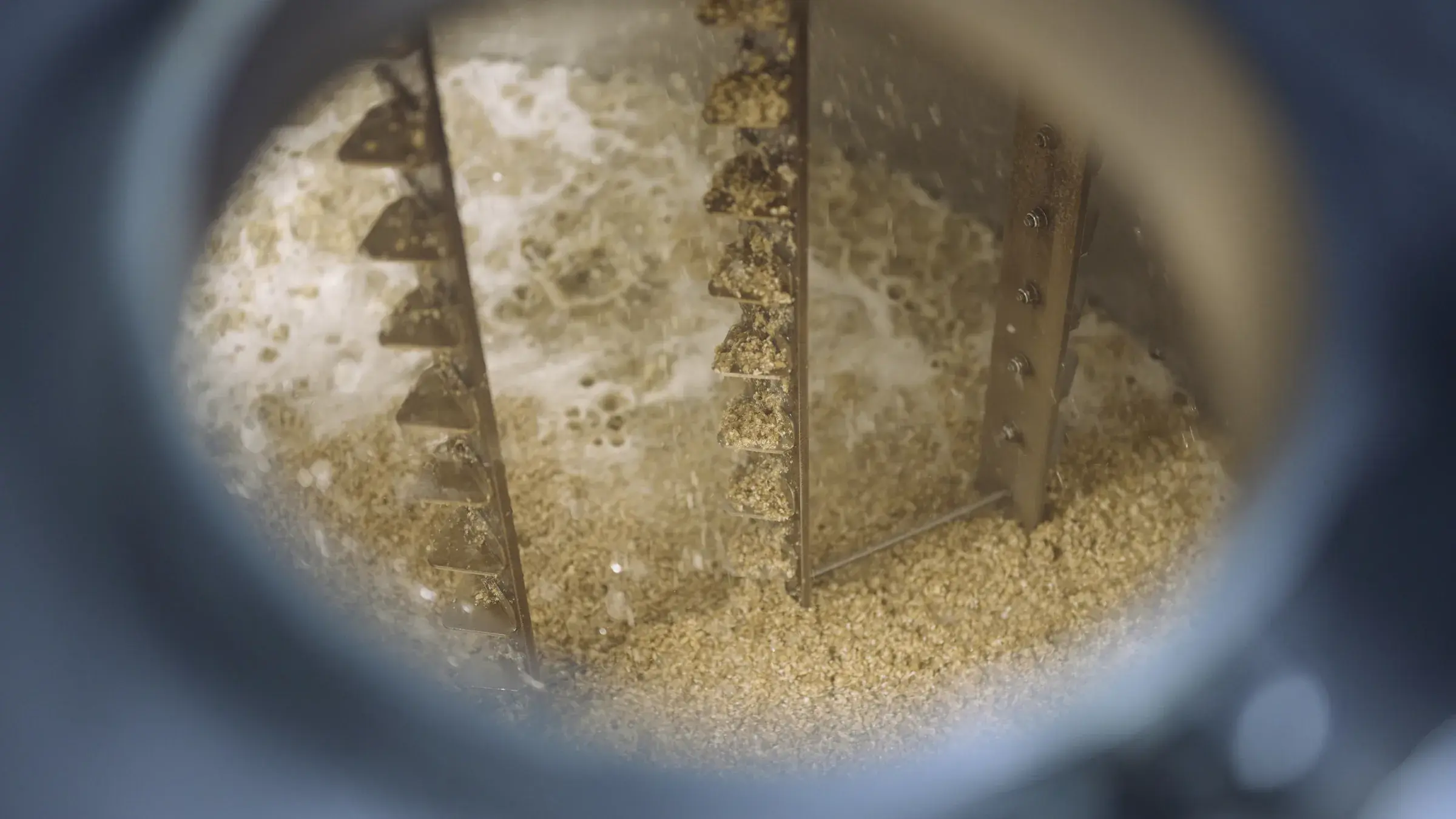 Le malt brassé dans une cuve de la distillerie