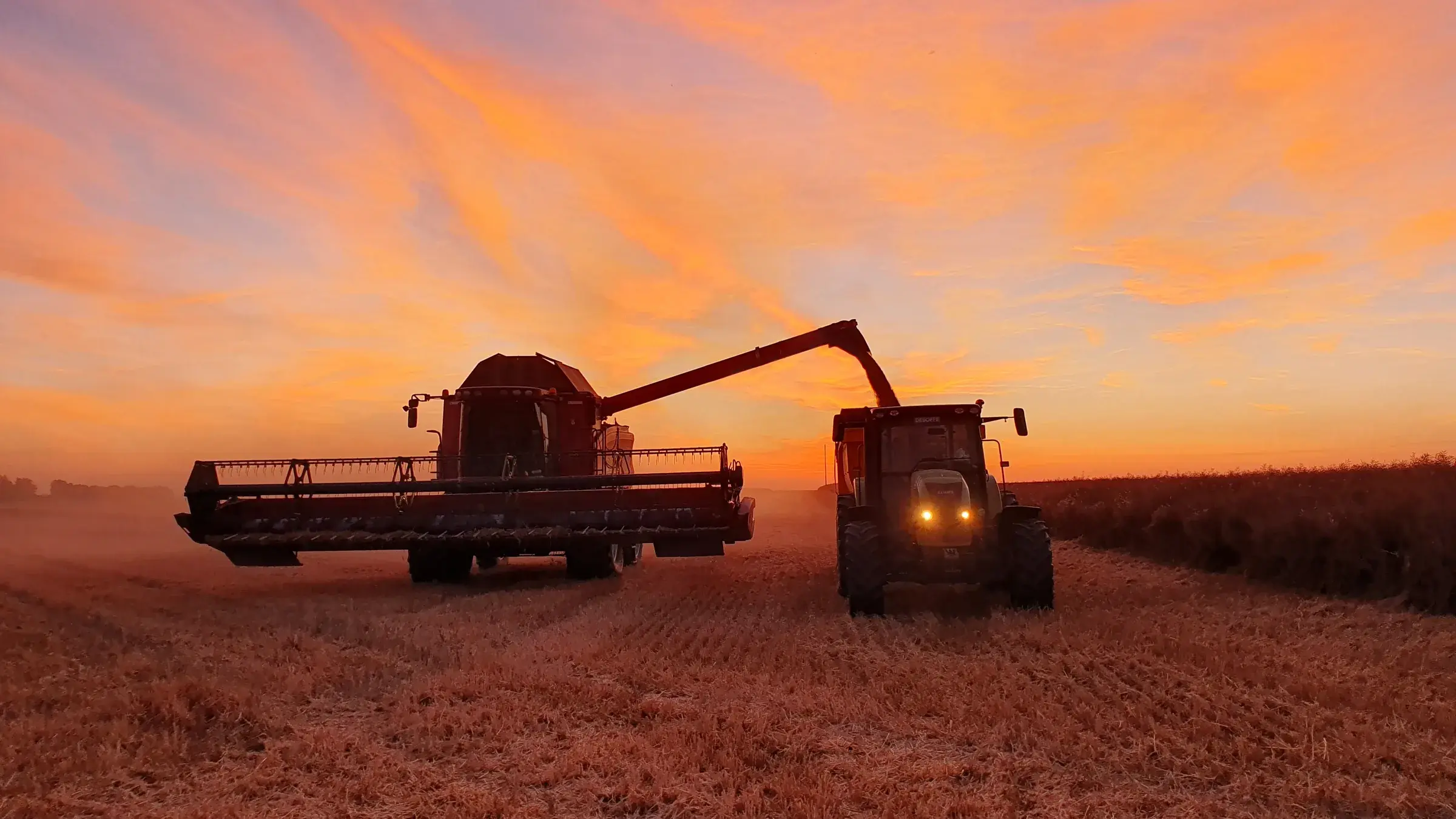 La moisson au crépuscule dans une parcelle du domaine, ciel orange
