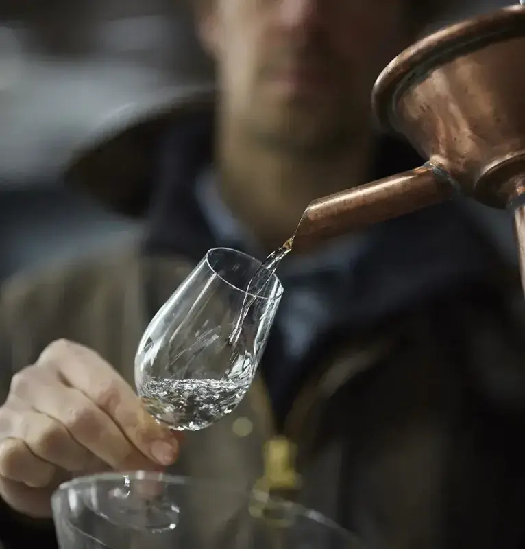 Le distillat coulant de l’alambic Stupfler, recueilli dans un verre de dégustation