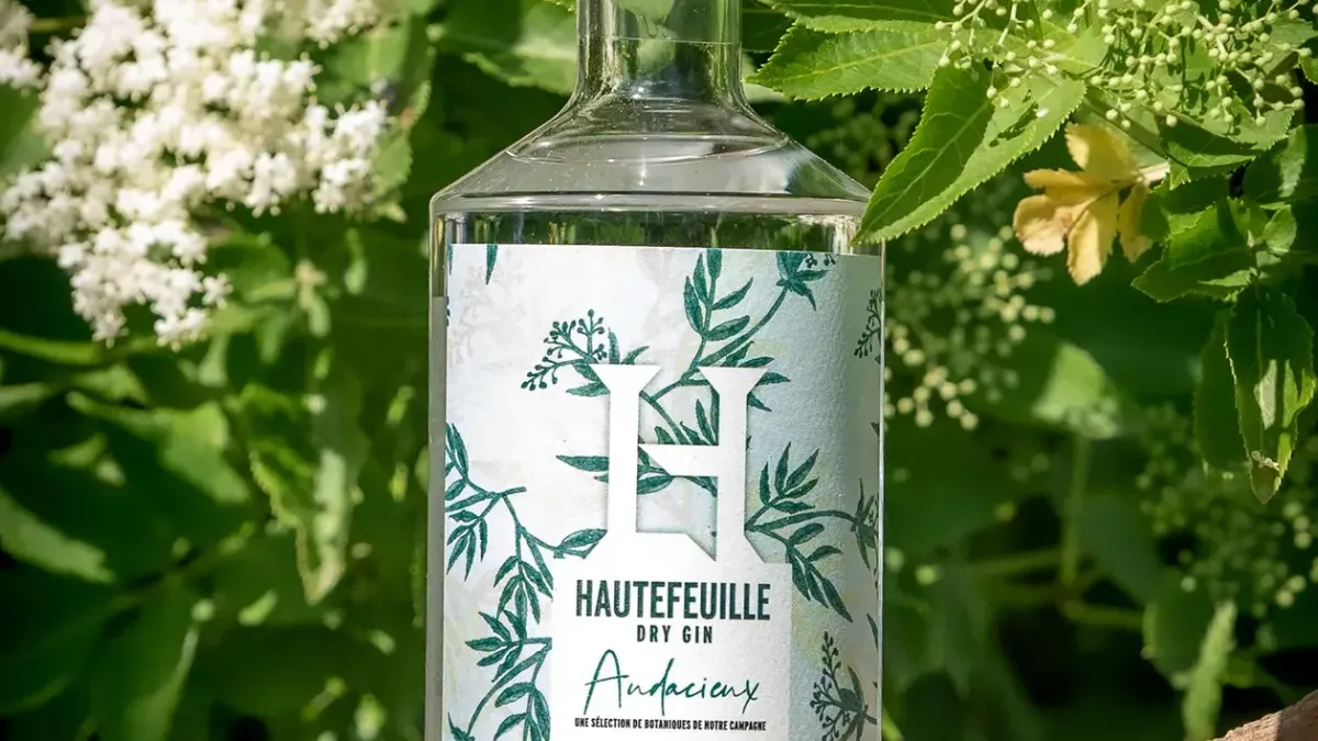 Gin audacieux