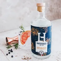 Gin explorateur hover